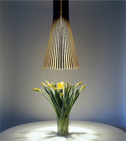 digno - Daffodils in vase underneath a pendant lamp. Foto de stock - Con derechos protegidos, Código: 845-03777468
