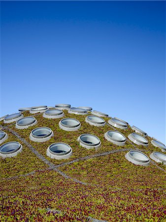 simsearch:845-06008334,k - Green roof and circular skylights, California Academy of Sciences. Architects: Renzo Piano Building Workshop Foto de stock - Direito Controlado, Número: 845-03777593