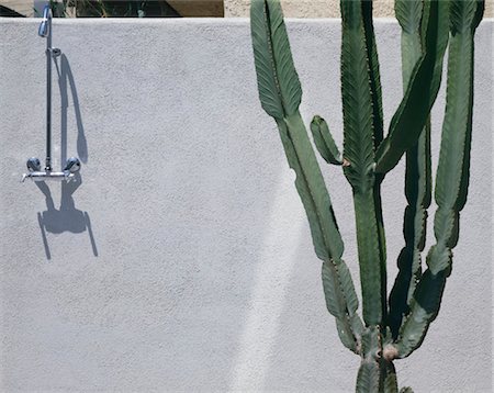 Private house, Venice Beach, California. outdoor shower and cactus. Architects: Arata Isozaki Stock Photo - Rights-Managed, Code: 845-03777660
