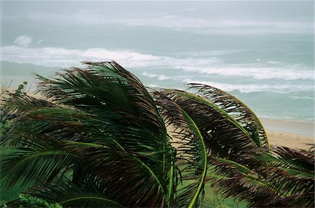 raining on the beach photos - 1990s STORMY SEA ATLANTIC OCEAN PALM TREES Stock Photo - Rights-Managed, Code: 846-05645786