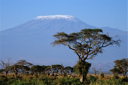 simsearch:846-03165556,k - ANNÉES 1990 MONT KILIMANDJARO VUE DEPUIS LE PARC NATIONAL D'AMBOSELI AU KENYA Photographie de stock - Rights-Managed, Code: 846-05645791