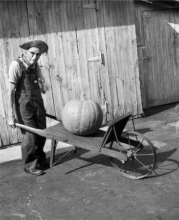 1970s - 1980s ELDERLY FARMER IN OVERALLS & STRAW HAT LOOKING AT CAMERA PUSHING OLD WHEELBARROW WITH HUGE PUMPKIN ON IT Stock Photo - Rights-Managed, Code: 846-05646325