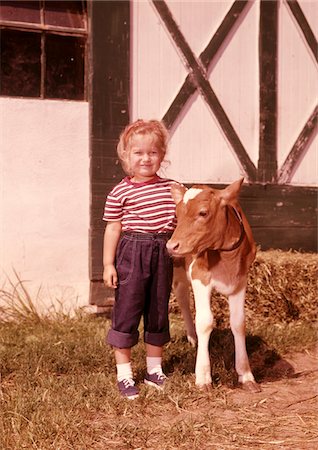 simsearch:400-03957687,k - ANNÉES 1960 SMILING GIRL ENROULÉ DE JEANS EN DENIM AVEC GUERNESEY VEAUX À L'EXTÉRIEUR DE LA GRANGE Photographie de stock - Rights-Managed, Code: 846-05646893