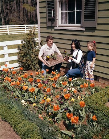 1970s MOTHER FATHER DAUGHTER PLANTING FLOWERS IN GARDEN Stock Photo - Rights-Managed, Code: 846-05646987