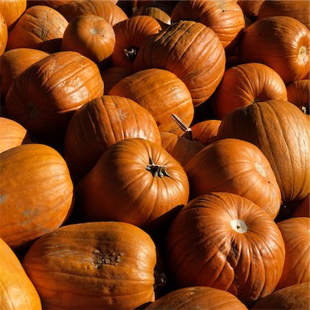 simsearch:614-03818719,k - HERBST ERNTE REICHLICH HAUFEN VON ORANGE KÜRBISSE Stockbilder - Lizenzpflichtiges, Bildnummer: 846-05647031