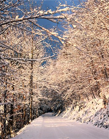 simsearch:846-03164651,k - WINTER SCHNEE BEDECKTE STRAßE DURCH BÄUME IN DER NÄHE VON ALBANY NEW HAMPSHIRE Stockbilder - Lizenzpflichtiges, Bildnummer: 846-05647554