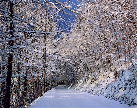 simsearch:846-03164651,k - WINTER SNOW COVERED ROAD THROUGH TREES NEAR ALBANY NEW HAMPSHIRE Stock Photo - Rights-Managed, Code: 846-05647555