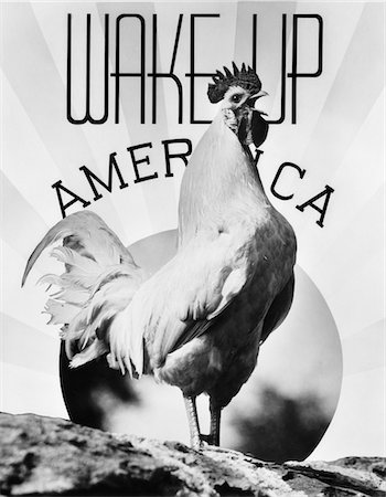 ANNÉES 1930 MONTAGE COQ WAKE UP AMERICA & SUNRISE Photographie de stock - Rights-Managed, Code: 846-05647666