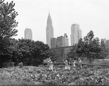 1940s - 1943 CHILDREN WORKING IN VICTORY GARDENS IN ST. GABRIEL'S PARK NEW YORK CITY CHRYSLER BUILDING VISIBLE IN BACKGROUND Stock Photo - Rights-Managed, Code: 846-05647981