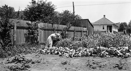 simsearch:846-03164236,k - 1910s WOMAN WEARING SUNBONNET WORKING IN A BACKYARD GARDEN KANSAS CITY MISSOURI Fotografie stock - Rights-Managed, Codice: 846-05647997