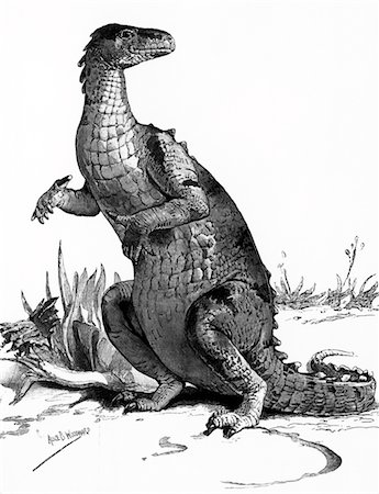 simsearch:846-05648564,k - GRAVURE DES ANNÉES 1990 DE DINOSAURE IGUANODON Photographie de stock - Rights-Managed, Code: 846-05648567