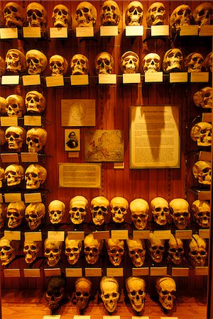 pauroso - PHILADELPHIA PA COLLECTION OF HUMAN SKULLS ON DISPLAY AT THE MUTTER MUSEUM Fotografie stock - Rights-Managed, Codice: 846-06112100