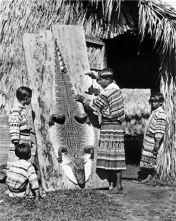 1920s 1930s SEMINOLE NATIVE AMERICAN INDIAN MAN FATHER SHOWING BOYS SONS HOW TO STRETCH AND TAN ALLIGATOR SKIN HIDE FLORIDA USA Stock Photo - Rights-Managed, Code: 846-09012785