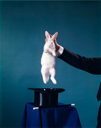 entertainment in the 1960s - 1960s HAND OF MAGICIAN PULLING WHITE RABBIT OUT OF BLACK TOP HAT TRICK Stock Photo - Rights-Managed, Code: 846-09013009