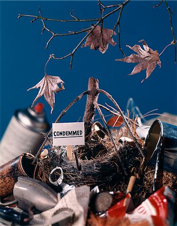 simsearch:846-05646041,k - 1970s BIRD NEST WITH CONDEMNED SIGN SURROUNDED BY TRASH GARBAGE Stock Photo - Rights-Managed, Code: 846-09161544