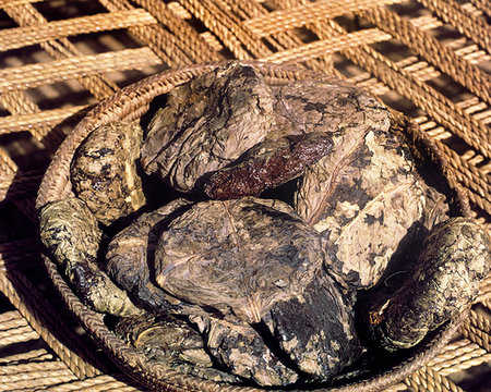 pictures of farming in the 1990s - 1970s 1980s ILLICIT RAW OPIUM FROM AFGHANISTAN AND PAKISTAN IN THE GOLDEN CRESCENT Stock Photo - Rights-Managed, Code: 846-09181849