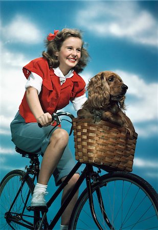 1940s 1950s SMILING TEEN GIRL RIDING BICYCLE WITH COCKER SPANIEL IN BIKE BASKET Stock Photo - Rights-Managed, Code: 846-02796113