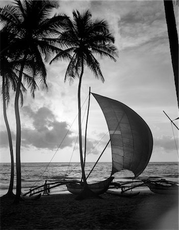1920s 1930s SINGLE CATAMARAN ON TROPICAL BEACH AT SUNSET PALM TREES SRI LANKA Foto de stock - Con derechos protegidos, Código: 846-02796284