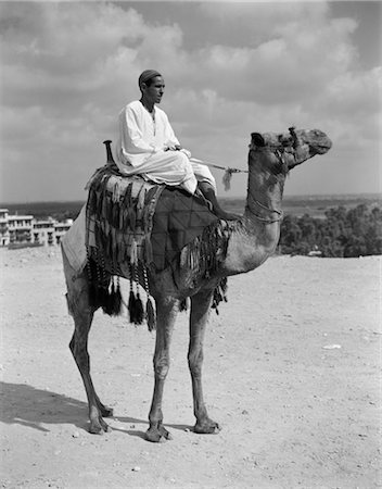 1920s 1930s EGYPTIAN MAN SITTING ON A RIDING TOURIST CAMEL WITH FRINGED CAMEL SADDLE GIZA CAIRO EGYPT Foto de stock - Con derechos protegidos, Código: 846-02796304