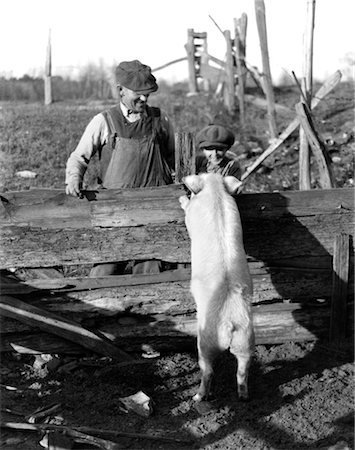 1920s 1930s WHITE HOG PIG STANDING UP AGAINST FENCE TO GREET FARMER AND BOY Stock Photo - Rights-Managed, Code: 846-02796520