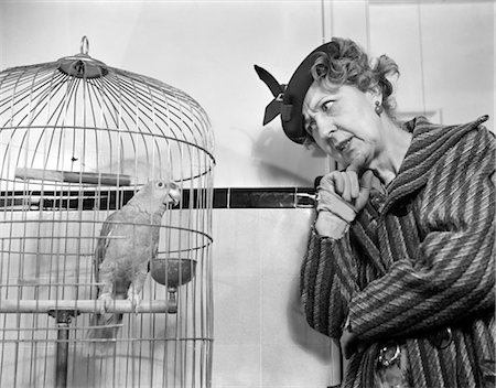 1940s FUNNY WOMAN IN HAT & COAT TALKING TO PARROT IN BIRD CAGE Fotografie stock - Rights-Managed, Codice: 846-02796822