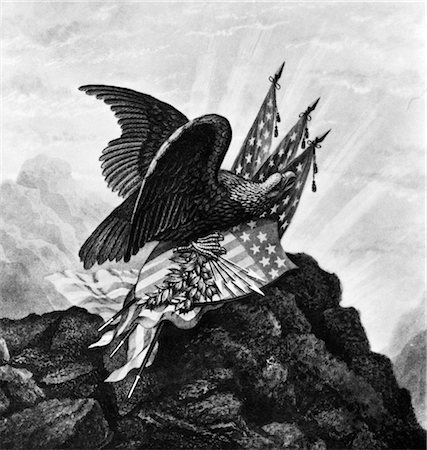 PAINTING OF EAGLE Haliaeetus leucocephalus ON ROCKS WITH AMERICAN FLAGS CREST & ARROWS REPRESENTING 13 ORIGINAL COLONIES Foto de stock - Con derechos protegidos, Código: 846-02791785