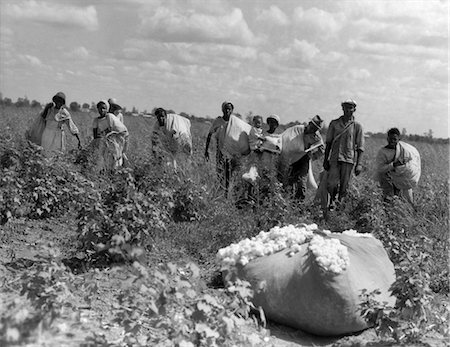 1930s GROUP OF AFRICAN AMERICAN WORKERS WITH BAGS OF COTTON IN FIELD LOUISIANA OUTDOOR Stock Photo - Rights-Managed, Code: 846-02792286