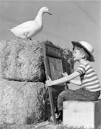 fardo - 1950s BOY SEATED CHALKBOARD DRAWS DRAWING PICTURE DUCK STANDING HAY BALE DUCKS BOYS Foto de stock - Con derechos protegidos, Código: 846-02792376