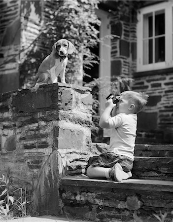 simsearch:846-02792336,k - 1950s YOUNG BOY KNEELING STONE SIDEWALK FOCUSING CAMERA ON HOUND DOG SITTING ON WALL SNAPSHOT PET Fotografie stock - Rights-Managed, Codice: 846-02792382