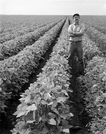 soja - 1970s MAN STANDING WITH ARMS CROSSED AMONG ROWS OF LARGE SOYBEAN CROP Foto de stock - Con derechos protegidos, Código: 846-02792795