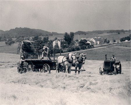 farm vehicle - 1930s PAIR OF MEN DUMPING HAY OFF OF BACK OF WAGON DRAWN BY TWO HORSES WITH MAN ON TRACTOR RIDING PAST THEM Stock Photo - Rights-Managed, Code: 846-02792891