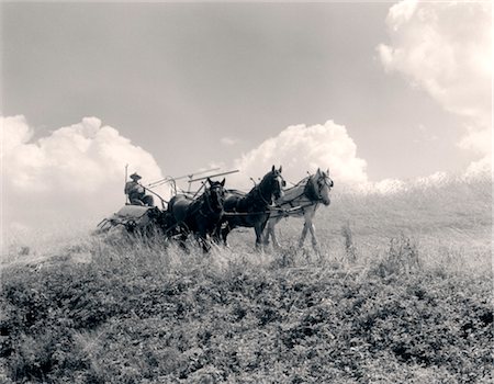 simsearch:846-02792742,k - 1930s FARMER IN OVERALLS & STRAW HAT DRIVING HARVESTER DRAWN BY THREE HORSES Foto de stock - Con derechos protegidos, Código: 846-02792909