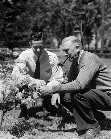 1930ER JAHRE, 1940ER JAHRE 2 ERWACHSENEN MÄNNER VATER & SOHN IM GARTEN SUCHEN AT BLÜHENDEN STRAUCH KNIEND Stockbilder - Lizenzpflichtiges, Bildnummer: 846-02792954