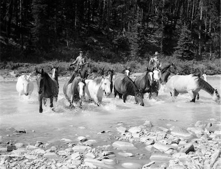 ANNÉES 1930 DEUX COW-BOYS, ÉLEVAGE DE CHEVAUX À TRAVERS LE RUISSEAU ROCHEUX MUSTANGS SAUVAGES CHEVAUX ROUND UP BRAZEAU RIVER (ALBERTA) CANADA Photographie de stock - Rights-Managed, Code: 846-02793223