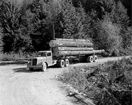 JOURNALISATION CAMION BOIS DÉFORESTATION Photographie de stock - Rights-Managed, Code: 846-02793364