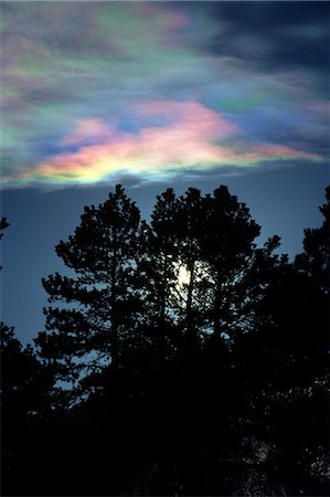 SILHOUETTED TREES AGAINST MOTHER-OF-PEARL CLOUDS RAINBOW EFFECT COLORADO Fotografie stock - Rights-Managed, Codice: 846-03164040
