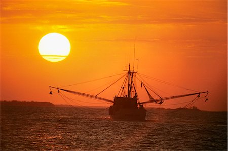 fisch-trawler - SHRIMP BOAT SILHOUETTED IN ORANGE SUNSET Stockbilder - Lizenzpflichtiges, Bildnummer: 846-03164295