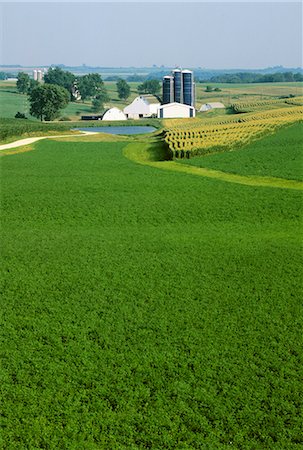 FARM WITH POND SILOS ALFALFA AND CORN FIELDS WISCONSIN Stock Photo - Rights-Managed, Code: 846-03164293