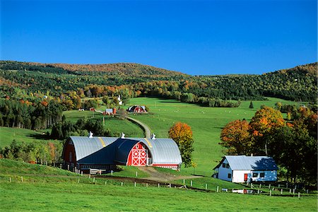 red barn in field - FARM S. ALBANY, VERMONT Stock Photo - Rights-Managed, Code: 846-03164320