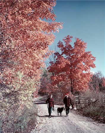 simsearch:846-08140041,k - 1950s 1960s SENIOR COUPLE MAN WOMAN WALKING AUTUMN COUNTRY ROAD HUNTING CLOTHES SHOTGUNS DOG PHEASANT Foto de stock - Con derechos protegidos, Código: 846-03164499