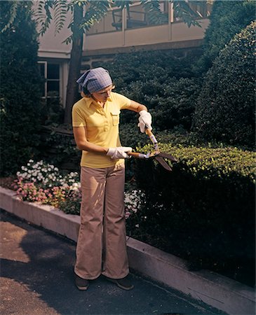 seto - 1970s WOMAN USING GARDEN CLIPPERS TRIMMING BOXWOOD HEDGE WEARING BELLBOTTOMS Foto de stock - Con derechos protegidos, Código: 846-03164560