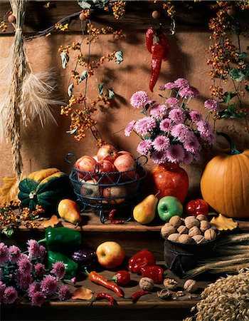 DISPLAY OF AUTUMN HARVEST FRUITS GRAINS AND FLOWERS Stock Photo - Rights-Managed, Code: 846-03164588