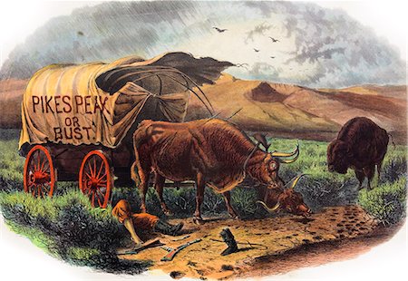 1800s 1859 DEAD PIONEER UNDER COVERED WAGON PIKES PEAK OR BUST SLOGAN OXEN BISON VULTURES COLORADO GOLD RUSH Foto de stock - Direito Controlado, Número: 846-03164599