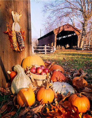 AFFICHAGE DE LA RÉCOLTE DE CITROUILLES ET DE MAÏS À L'EXTÉRIEUR À CÔTÉ DE PONT COUVERT Photographie de stock - Rights-Managed, Code: 846-03164606