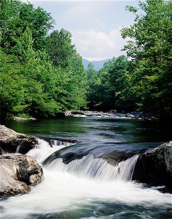 simsearch:846-03164909,k - PETIT RUISSEAU CASCADE SUR LES ROCHERS LITTLE PIGEON RIVER GREAT SMOKY MOUNTAINS NATIONAL PARK TENNESSEE ÉTATS-UNIS Photographie de stock - Rights-Managed, Code: 846-03164886