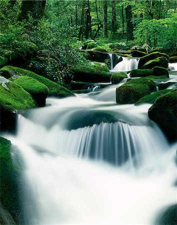 streaming (flow of movement) - STREAM RUNNING OVER ROCKS COSBY CREEK, GREAT SMOKY MOUNTAINS NATIONAL PARK, TN Stock Photo - Rights-Managed, Code: 846-03164887