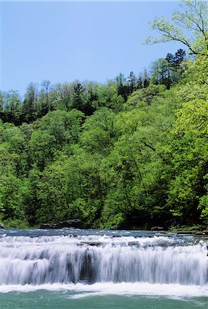 RICHLAND CREEK AND RICHLAND FALLS RICHLAND CREEK WILDERNESS, OZARK NAT'L FOREST, NEWTON COUNTY, ARKANSAS Fotografie stock - Rights-Managed, Codice: 846-03164898