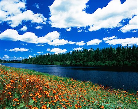 ANDROSCOGGIN RIVER NEAR MILAN, NH Fotografie stock - Rights-Managed, Codice: 846-03164893