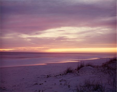 simsearch:846-03164921,k - GULF OF MEXICO BEACH SAND DUNES AT SUNSET Stock Photo - Rights-Managed, Code: 846-03164905