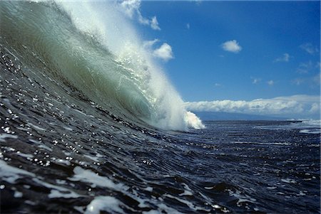 simsearch:846-02794667,k - CURL OF CRESTING PACIFIC OCEAN WAVE Foto de stock - Con derechos protegidos, Código: 846-03165042